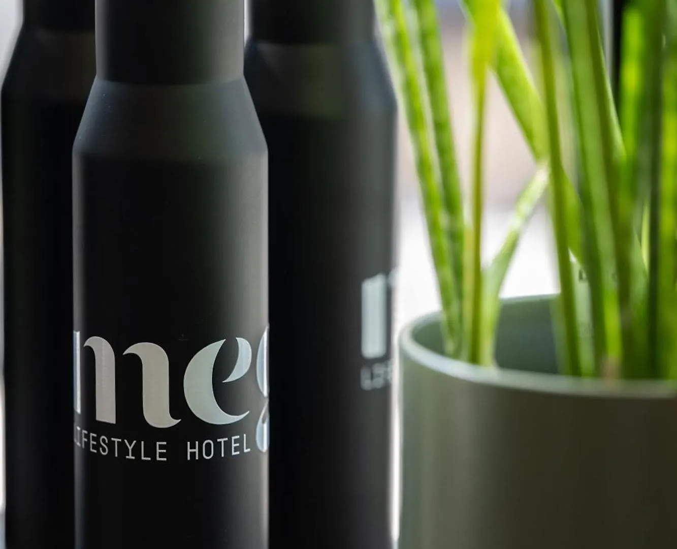 Meg Lifestyle Hotel & Apartaments Riccione 3*,